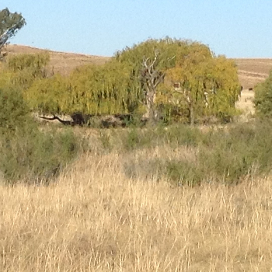 Commercial Property for Sale in Thaba Nchu Free State